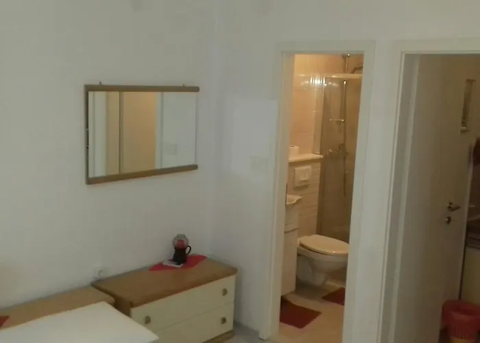 Ada Novak חוואר